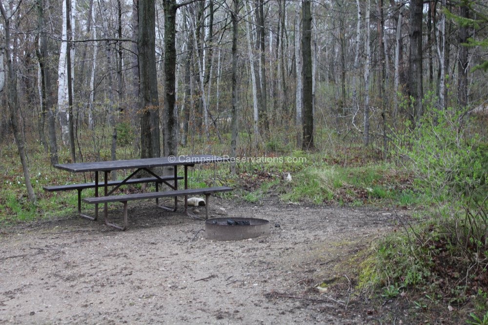 Photo of Campsite 469 in Tennison Bay Campground at Peninsula State
